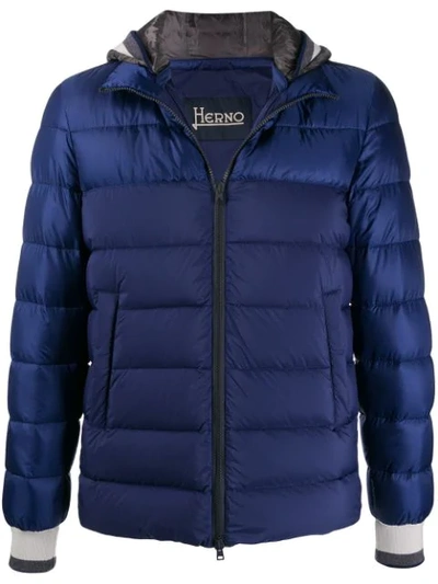 Herno Padded Hooded Coat In Blue