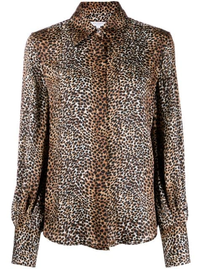 Equipment 005649tp03172black In Brown