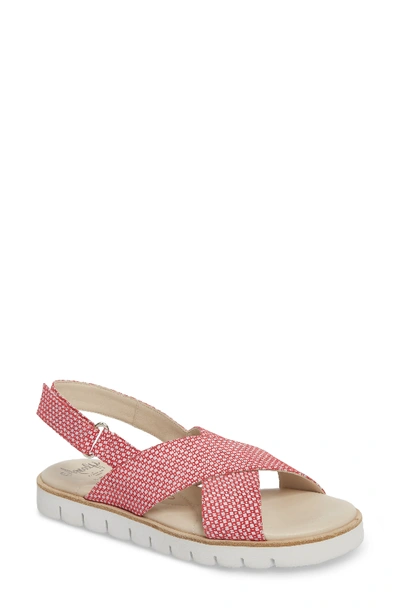 Amalfi By Rangoni Borgo Sandal In Red/ White Leather