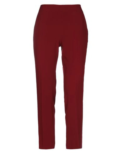 Alberto Biani Casual Pants In Maroon