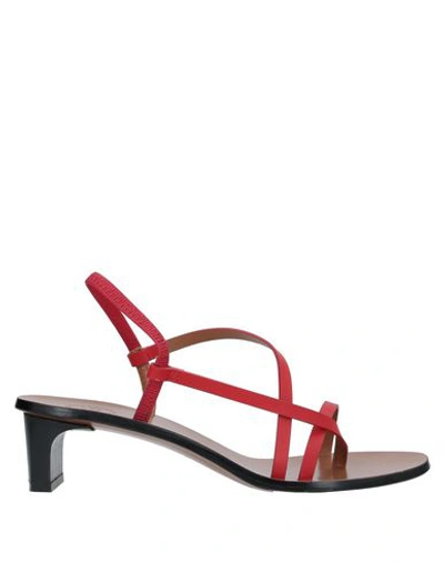 Atp Atelier Toe Strap Sandals In Red