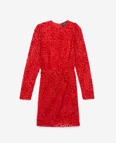 The Kooples Artichoke Burnout Velvet Leopard Mini Dress In Red