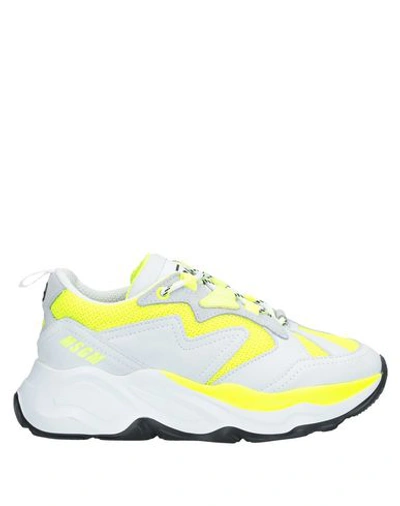 Msgm Sneakers In Yellow