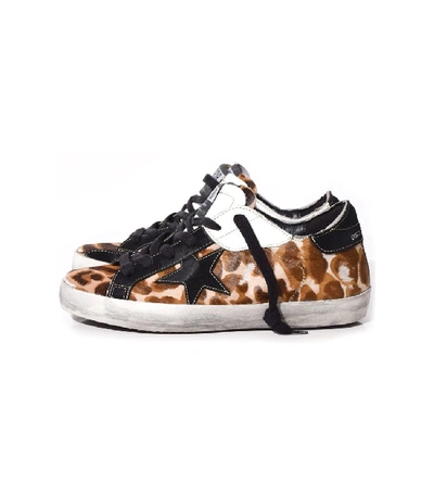 Golden Goose Superstar Sneakers In Leopard Patch/black Star In Multi