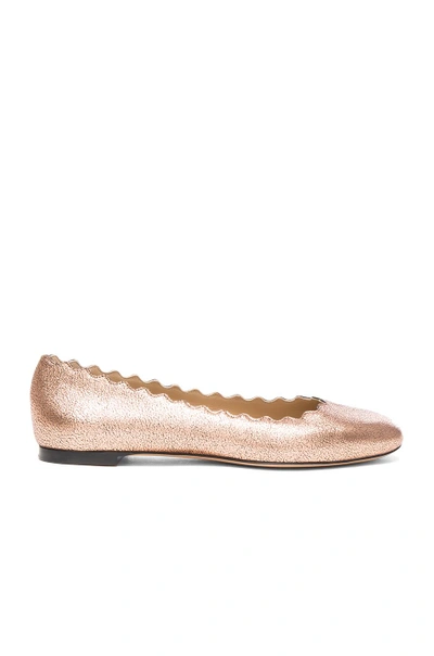 Chloé Lauren Scalloped Cracked-metallic Leather Ballet Flats In Pink Gold