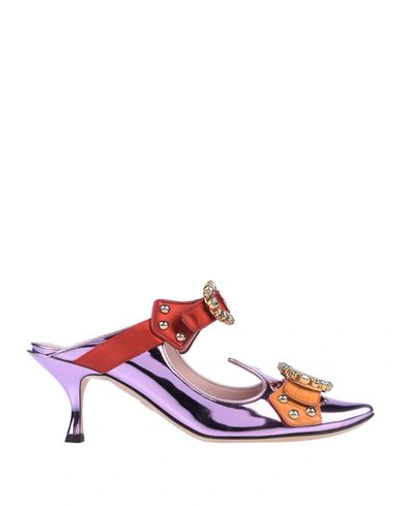 Dolce & Gabbana Mules & Clogs In Light Purple