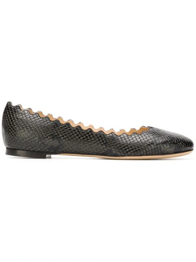 Chloé Lauren Python-embossed Leather Ballet Flats In Charcoal Burnout