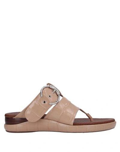 Chloé Toe Strap Sandals In Beige