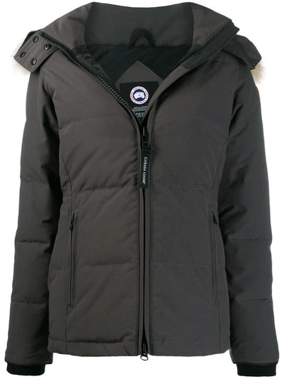 Canada Goose Chelsea Parka Coat In Grey