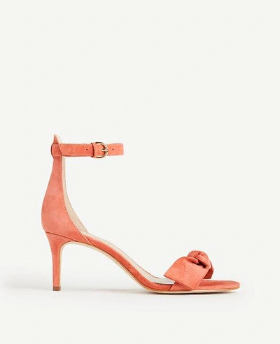 Ann Taylor Erica Suede Bow Sandals In Pink Sunset