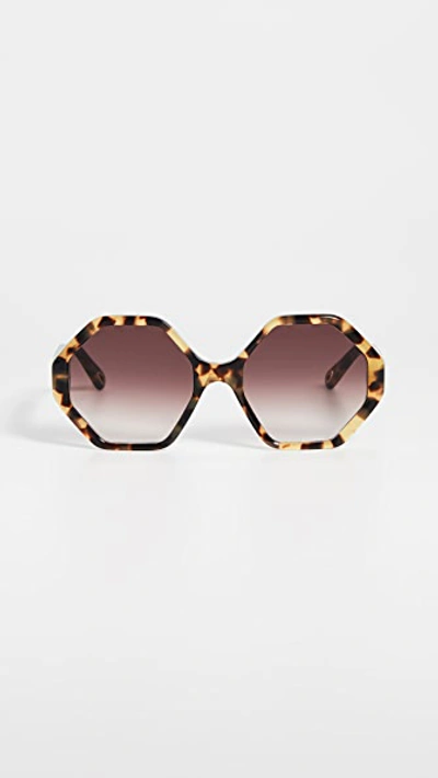 Chloé Willow 57mm Geo Sunglasses In Havana/ Wine