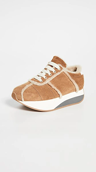 Marni Platform Lace Up Sneakers In Caramel