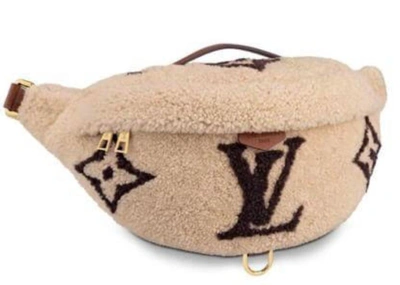 Pre-owned Louis Vuitton Bumbag Monogram Teddy Fleece Beige/brown