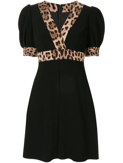 Dolce & Gabbana Leopard Print Trimmed Flared Dress In Black