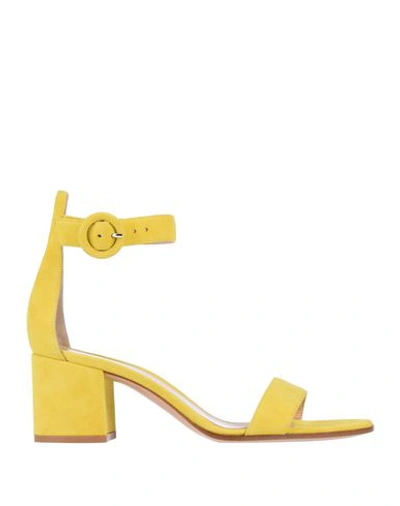 Gianvito Rossi Sandals In Yellow