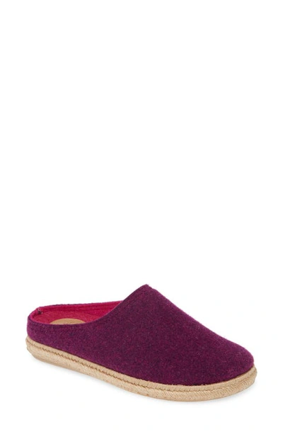 Toni Pons Miri Scruff Slipper In Morat Wool