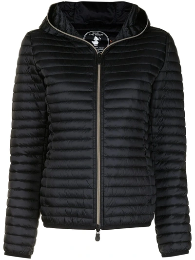 Save The Duck D33620 Alexis Padded Jacket In Black | ModeSens