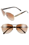 Burberry 59mm Aviator Sunglasses - Matte Gold