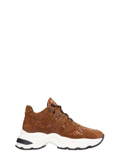 Marc Ellis Sneakers In Leather Color Suede And Leather
