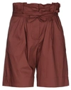 Liviana Conti Woman Shorts & Bermuda Shorts Cocoa Size 10 Cotton, Polyamide, Elastane In Brown