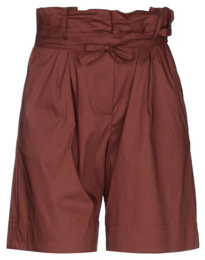 Liviana Conti Woman Shorts & Bermuda Shorts Cocoa Size 10 Cotton, Polyamide, Elastane In Brown