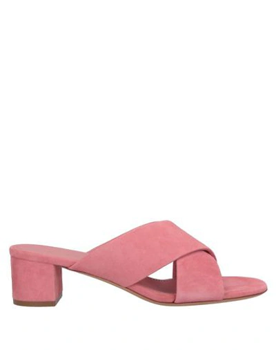 Mansur Gavriel Sandals In Pink
