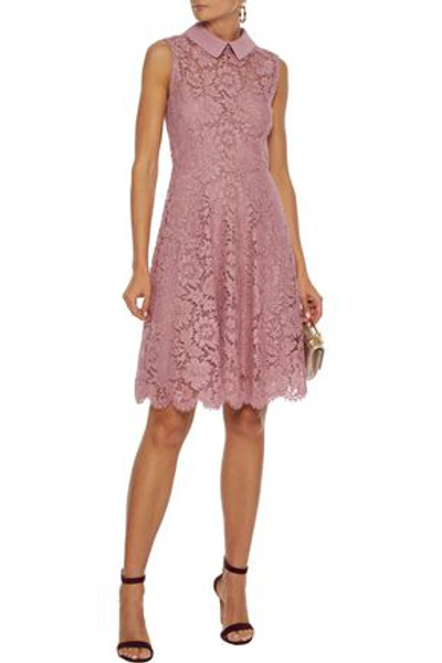 Valentino Crepe-trimmed Cotton-blend Corded Lace Mini Dress In Baby Pink