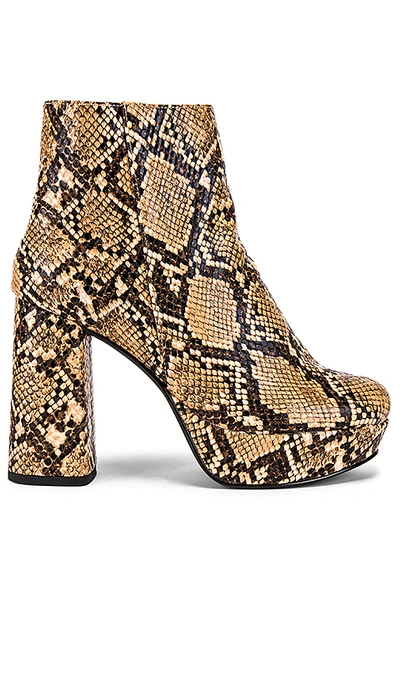 Madden Outlet Steve Madden Grate Platform Bootie Maverick Steve