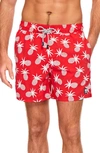 Tom & Teddy Pineapple Print Swim Trunks In Blue/ Crimson