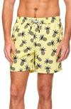 Tom & Teddy Pineapple Print Swim Trunks In Yellow/ Blue