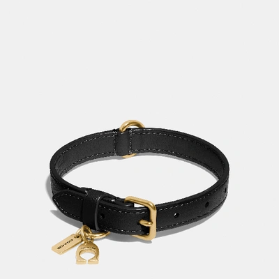Coach Large Pet Collar In Pink In Gold/black