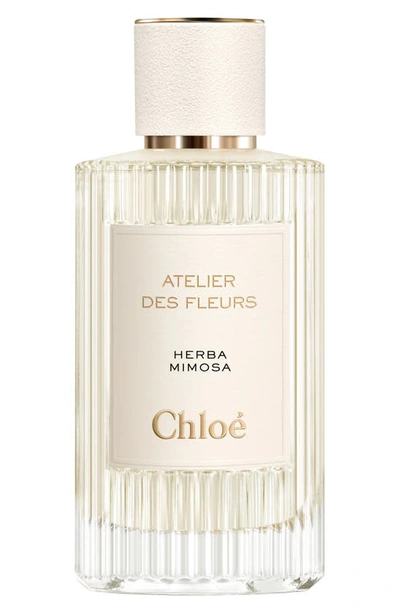 Chloé Atelier Des Fleurs Herba Mimosa Eau De Parfum