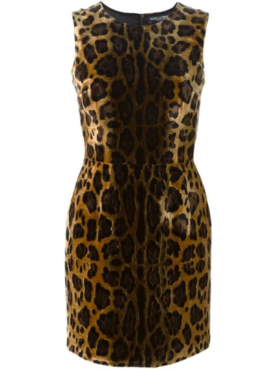 Dolce & Gabbana Leopard Jacquard Mini Dress In Brown
