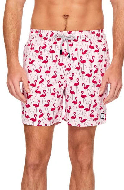 Tom & Teddy Flamingo Print Swim Trunks In Pink/ Red