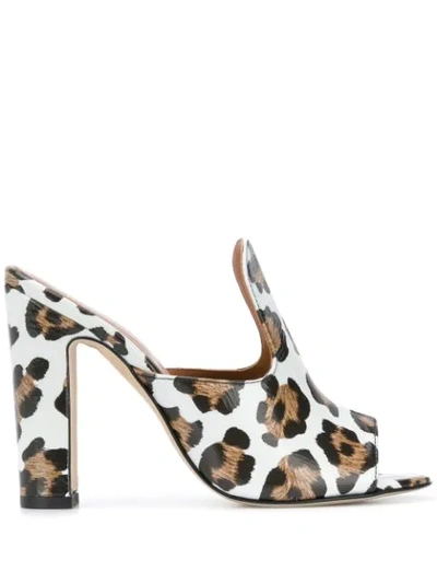 Paris Texas Leopard Print High Heel Mules In Leo Bianco