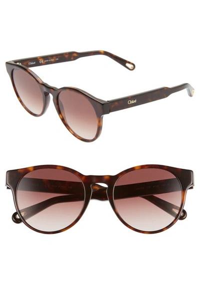 Chloé Willow 52mm Round Sunglasses In Tortoise/ Brown