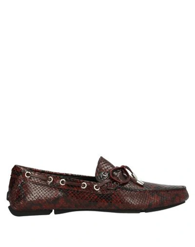 Just Cavalli Loafers In Maroon