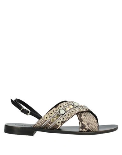 Nanni Sandals In Beige