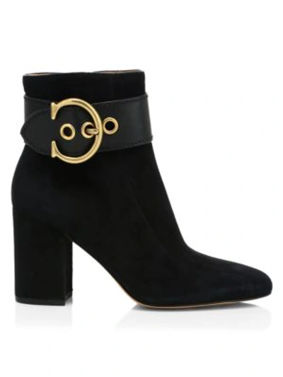 Coach Dara C-buckle Suede Ankle Boots In Color<lsn_delimiter>black