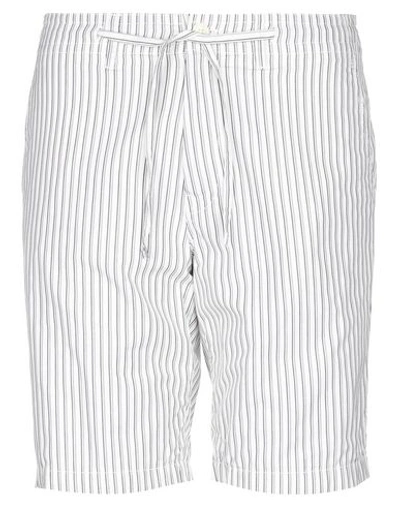 Head Porter Plus Shorts & Bermuda In White