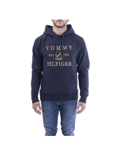 Tommy Hilfiger Blend Cotton Sweatshirt In Sky Blue
