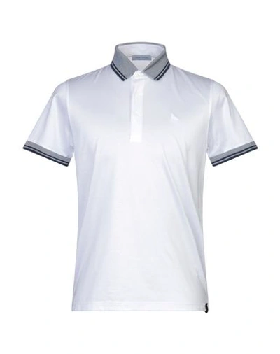 Gran Sasso Polo Shirts In White