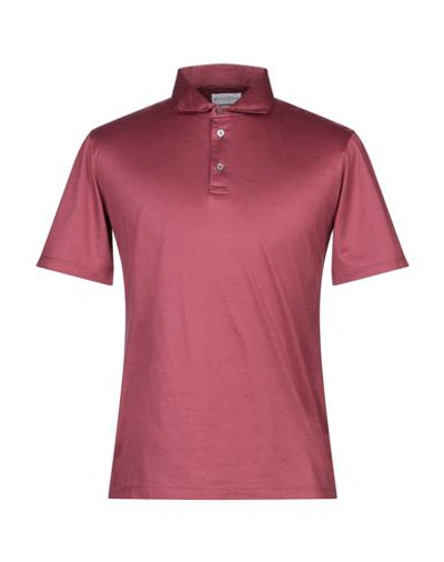 Ballantyne Polo Shirts In Maroon