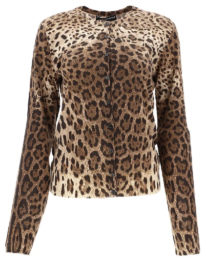 Dolce & Gabbana Animalier Printed Cardigan In Multi