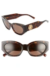 Versace 54mm Cat Eye Sunglasses In Havana/ Brown Solid