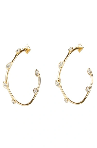 Alexis Bittar Women's 10k Goldplated & Crystal-studded Hoop Earrings