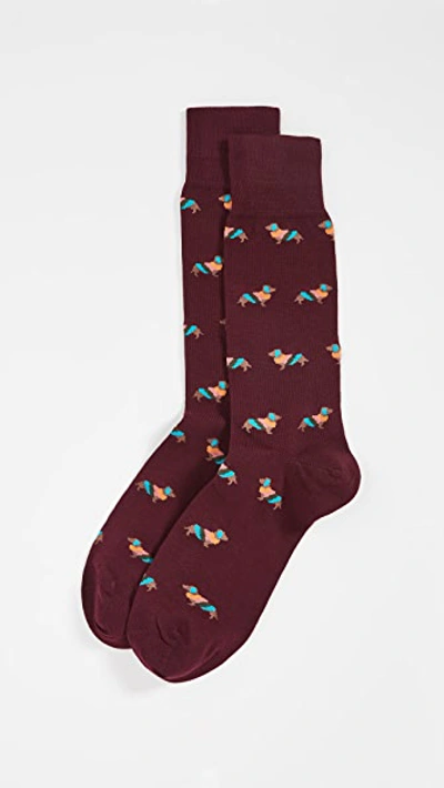 Paul Smith Artist Dog Socks In Red