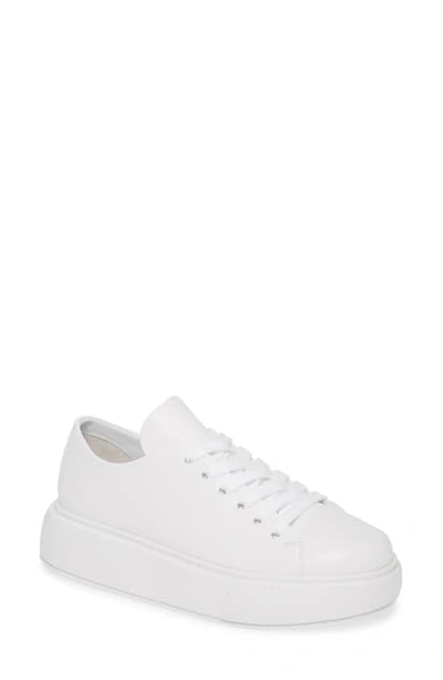 Jeffrey Campbell Entourage Low Top Platform Sneaker In White/ White