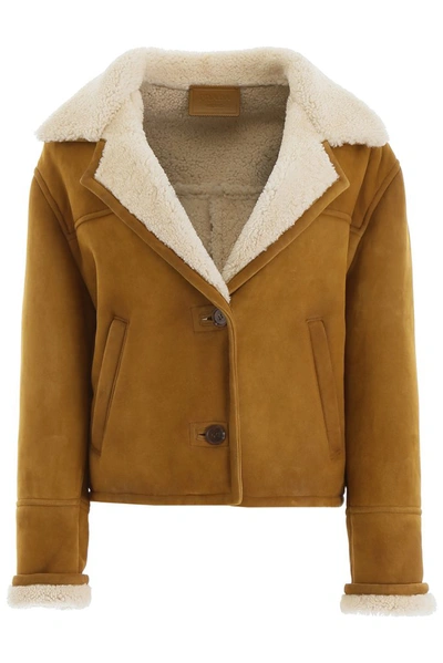 Prada Shearling Buttoned Jacket In Brown