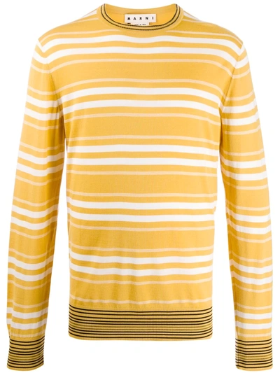 Marni Double Stripe Sweater In Yellow